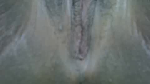shaz online show from 05-11-26, 02:01