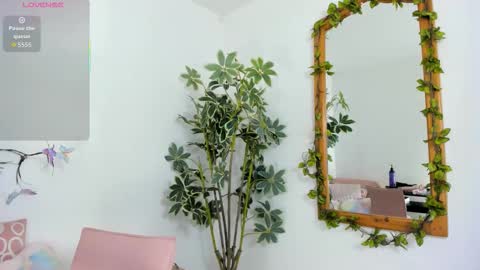 Snapshot of shegoblake chatting on 11-26-25, 12:22 Shego online show from 11-26-25, 12:22