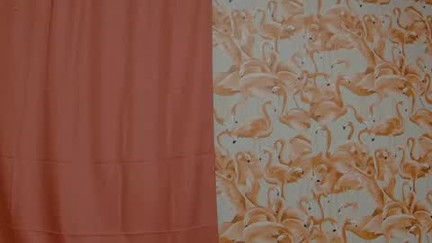 Snapshot of shelikessoymilk chatting on 05-14-26, 01:12 Erika online show from 05-14-26, 01:12
