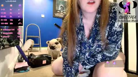 short sweetpea online show from 01-15-26, 10:20