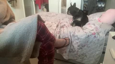 shyboy0533 online show from 11-03-25, 10:49