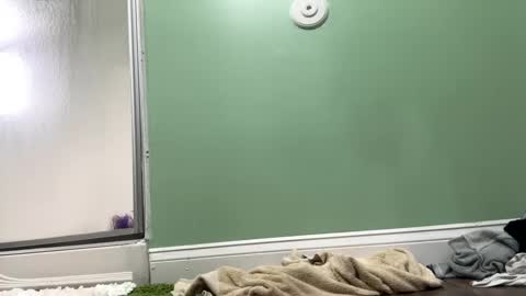 Snapshot of shyg1r1 chatting on 02-27-25, 09:36 Sasha online show from 02-27-25, 09:36