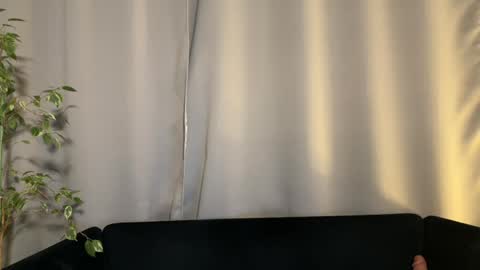 Amelia online show from 02-02-25, 07:14