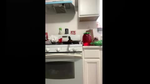 shyyyguyyy59 online show from 10-08-25, 04:26