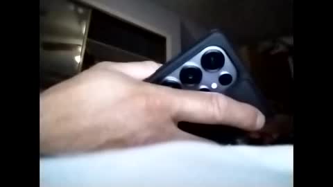 sil15nissan online show from 03-25-26, 07:14