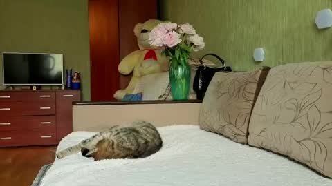 Snapshot of silviasexyy chatting on 05-30-26, 12:24 miss Anna online show from 05-30-26, 12:24