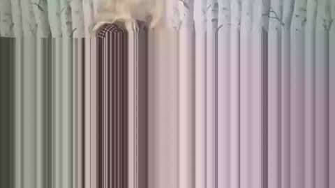 Snapshot of simontupin1973 chatting on 12-17-25, 01:33 simontupin1973 online show from 12-17-25, 01:33