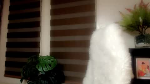     online show from 01-06-26, 09:24