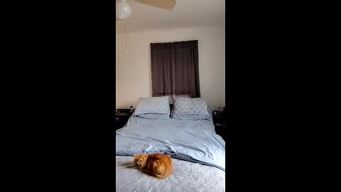 Snapshot of simplysarah1225 chatting on 02-17-26, 04:24 simplysarah1225 online show from 02-17-26, 04:24