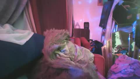 Siofra online show from 02-24-25, 02:19