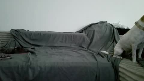 sircheese69x2 online show from 06-06-26, 08:19