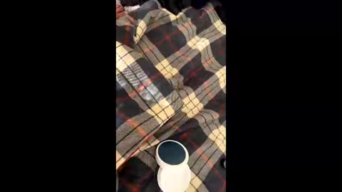 sirgalaxy online show from 11-02-25, 01:46