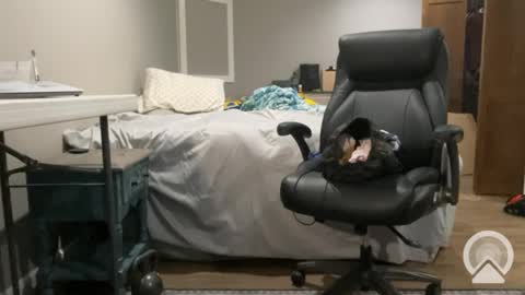 sissyryan3 online show from 01-21-25, 12:46