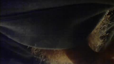 Snapshot of sjim368 chatting on 12-02-25, 01:17 sjim368 online show from 12-02-25, 01:17