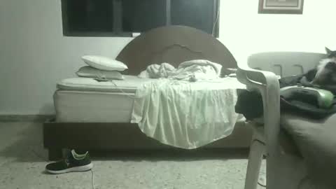 Snapshot of skanky_little_dolls chatting on 11-27-25, 08:05 skanky_little_dolls online show from 11-27-25, 08:05