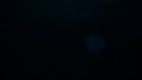 Snapshot of skarletsexy chatting on 10-08-25, 02:20 Skarlet online show from 10-08-25, 02:20