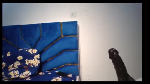 skinnyasssexyboobs online show from 11-05-25, 04:29