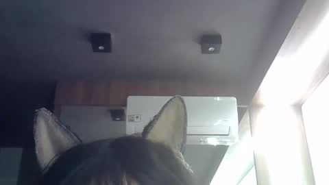 skinnykittencam online show from 05-21-26, 09:16