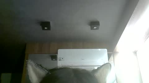 skinnykittencam online show from 06-01-26, 04:20