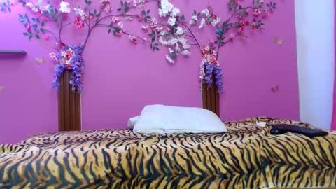 sofia online show from 02-24-26, 01:31