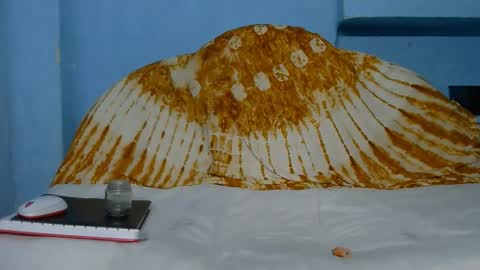 Indian online show from 03-10-26, 06:24