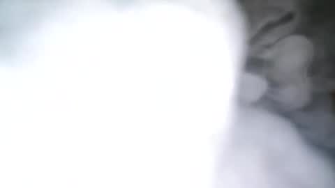 Snapshot of skyonetoo3 chatting on 10-21-25, 10:21 skyonetoo3 online show from 10-21-25, 10:21