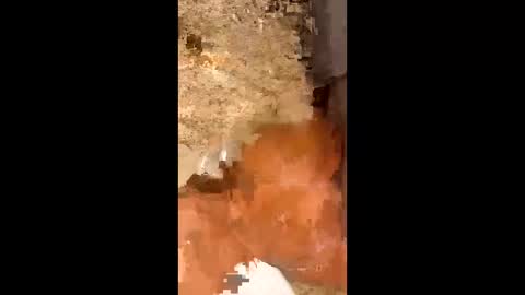 Snapshot of slapaho666 chatting on 10-03-25, 03:03 slapaho666 online show from 10-03-25, 03:03