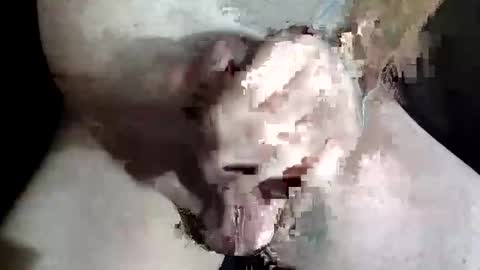 Snapshot of slash1710 chatting on 12-02-25, 08:48 Z online show from 12-02-25, 08:48