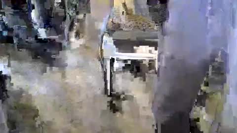 sledge2021 online show from 11-17-25, 08:14