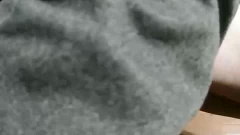 slimsunny online show from 12-04-24, 05:49