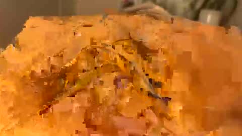 Snapshot of slipmytip chatting on 12-05-25, 11:08 slipmytip online show from 12-05-25, 11:08