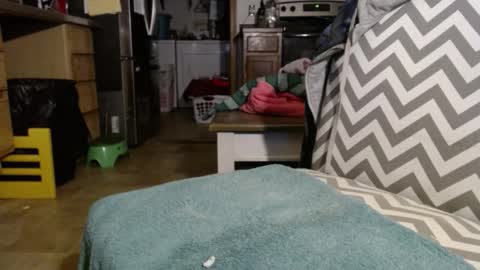 Snapshot of slum_daddy chatting on 11-30-25, 11:25 Slum Daddy online show from 11-30-25, 11:25