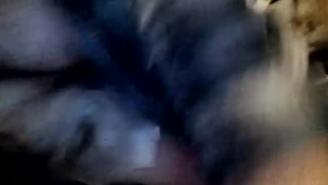 Snapshot of slutbreeze101 chatting on 02-23-26, 03:59 slutbreeze101 online show from 02-23-26, 03:59