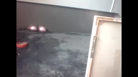 slutviki online show from 02-15-26, 10:14