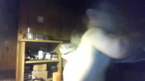 Snapshot of smalldream666 chatting on 10-09-25, 06:28 PIST PIST online show from 10-09-25, 06:28