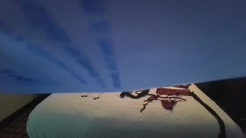 Snapshot of smokeingbitch420 chatting on 10-26-25, 08:42 love bug online show from 10-26-25, 08:42