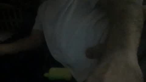 Snapshot of smokenfuk23 chatting on 11-30-25, 01:53 smokenfuk23 online show from 11-30-25, 01:53