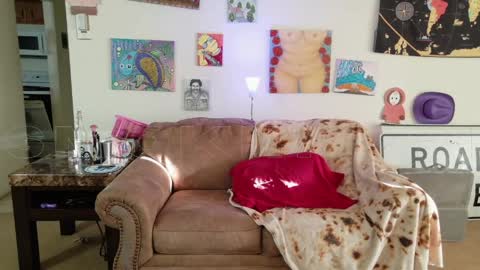 Snapshot of smokihippi chatting on 05-30-26, 01:25 Big Dawg online show from 05-30-26, 01:25