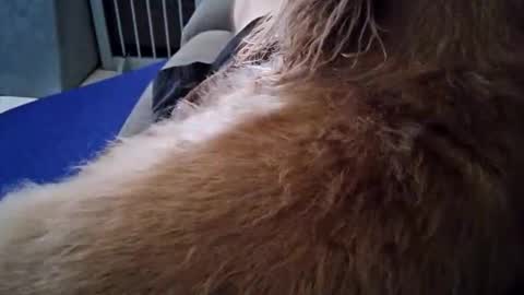 smokynight online show from 09-26-25, 08:57