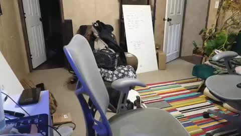 SnackMaster online show from 12-18-24, 03:26