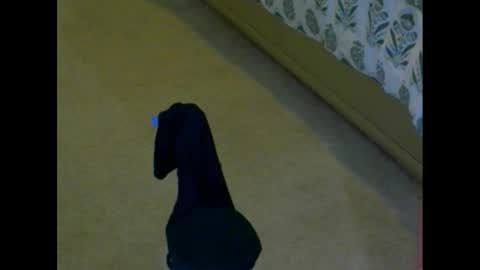 snizniz online show from 12-02-24, 04:09