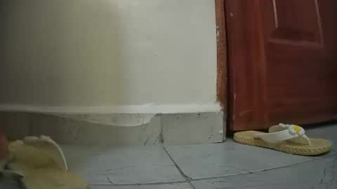 Snapshot of snowbell91 chatting on 01-27-25, 08:29 snowbell91 online show from 01-27-25, 08:29