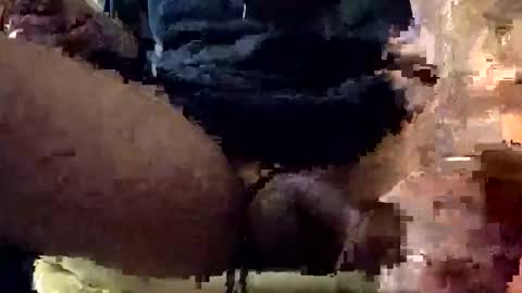 Lets play n party online show from 01-07-26, 07:55