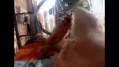 snqhephncxpu online show from 02-17-26, 01:18