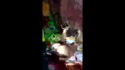 snqhephncxpu online show from 04-14-26, 03:01