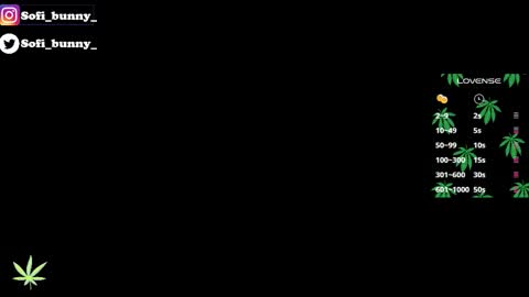 soffi_bunny_ online show from 01-08-26, 08:05