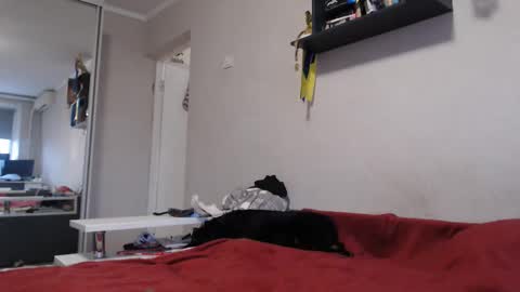 Snapshot of sofi_delightful chatting on 11-11-25, 12:27 Sofi online show from 11-11-25, 12:27