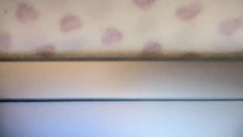 Snapshot of sofia8428 chatting on 09-22-25, 10:01 sofia8428 online show from 09-22-25, 10:01