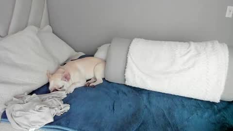 sofia_rivers_ online show from 03-01-25, 12:23