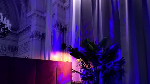 Sofia online show from 01-24-25, 02:19